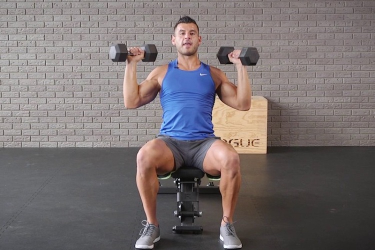 Arnold press