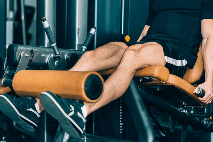 8 Best Alternatives To Leg Extensions