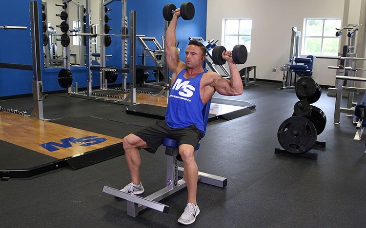 Seated dumbbell military press