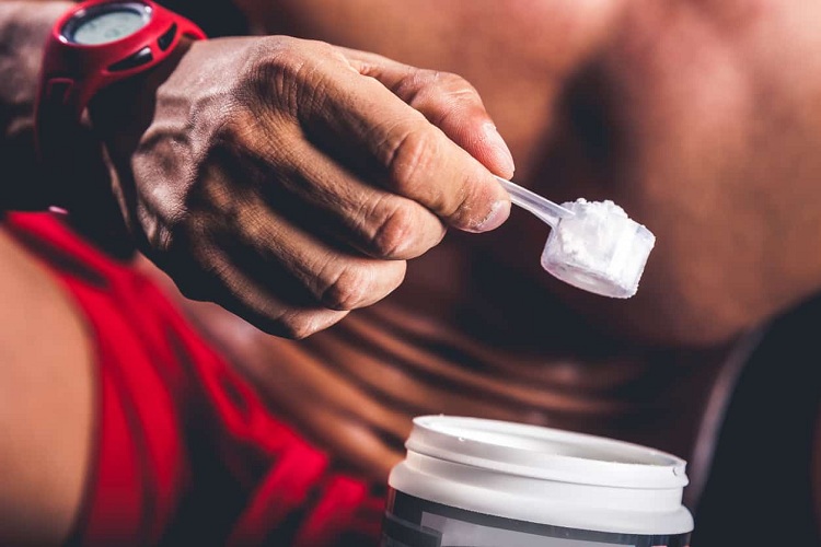 Does The Type of Protein Matter?