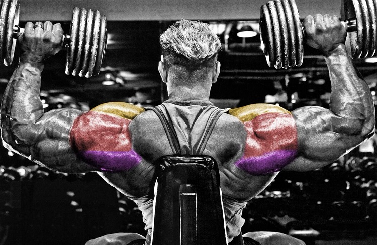 10 Side Delt Exercises to Help Grow Shoulders