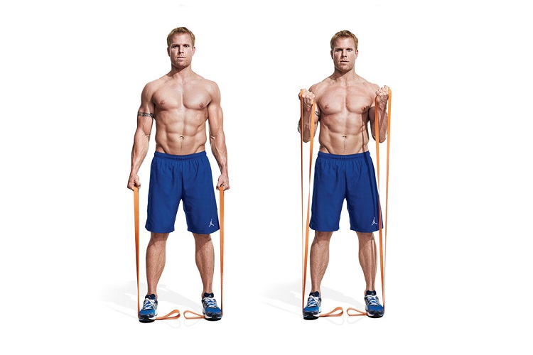 Band biceps curl