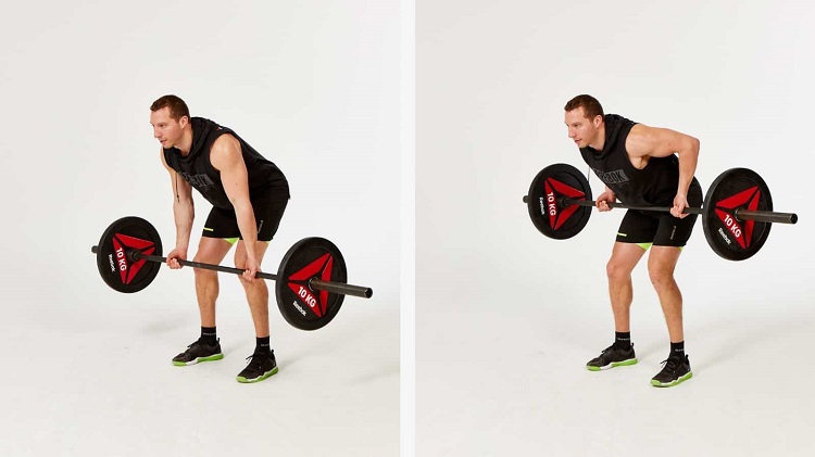 How To Perform An Underhand Barbell Row
