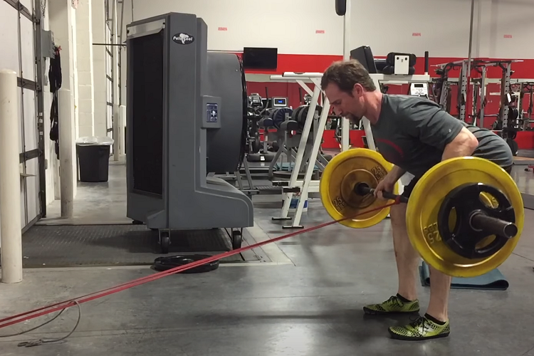 8 Back Workouts With Barbell