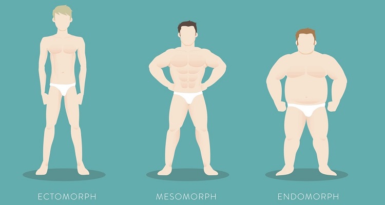 How Long Does It Take To Gain Muscle?