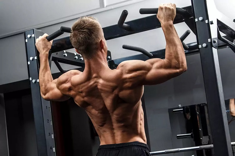 How Long Does It Take To Gain Muscle?