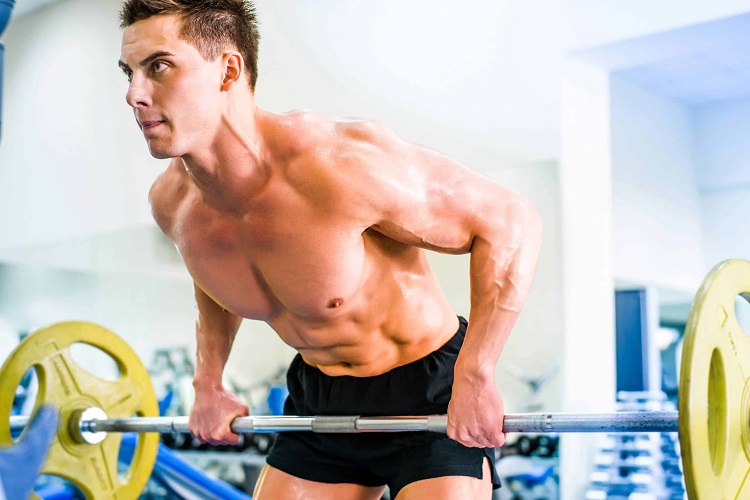What Muscles Do Rows Work?