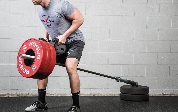 8 Back Workouts With Barbell