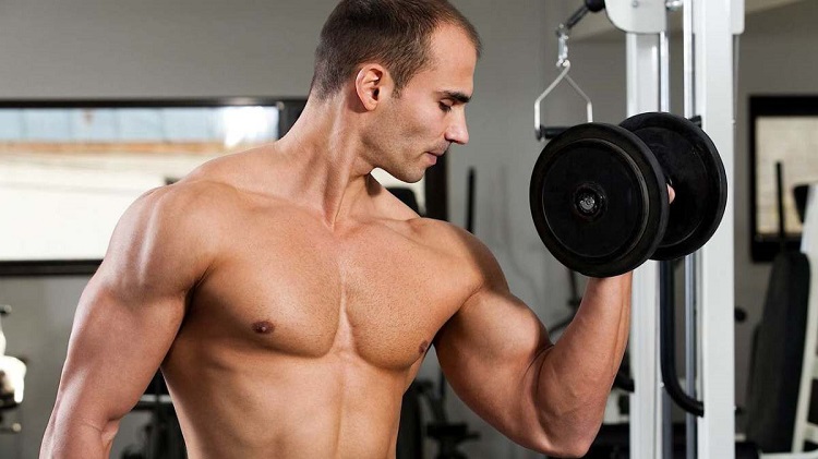 How Long Does It Take To Gain Muscle?