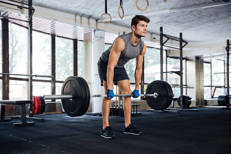 Romanian deadlift movement