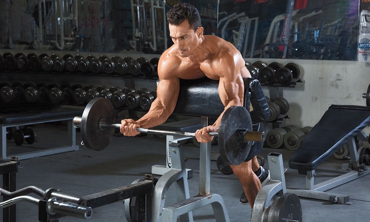 Preacher curls