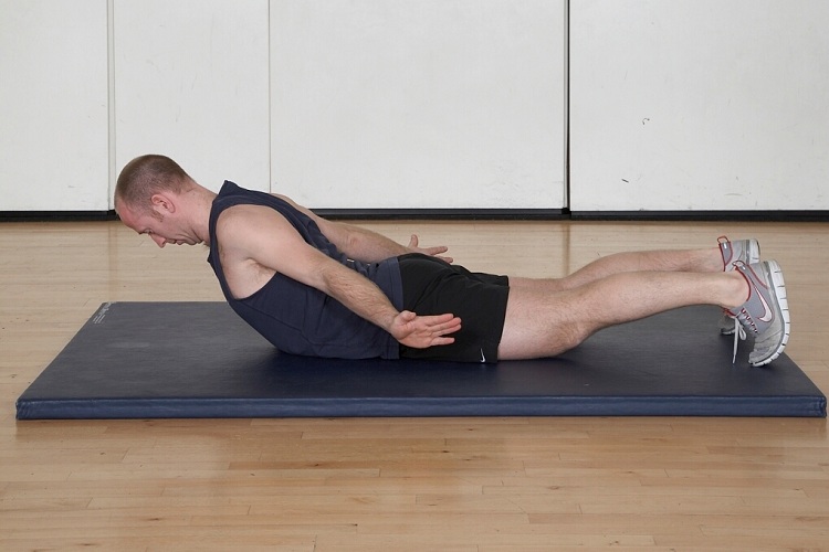 Prone cobra