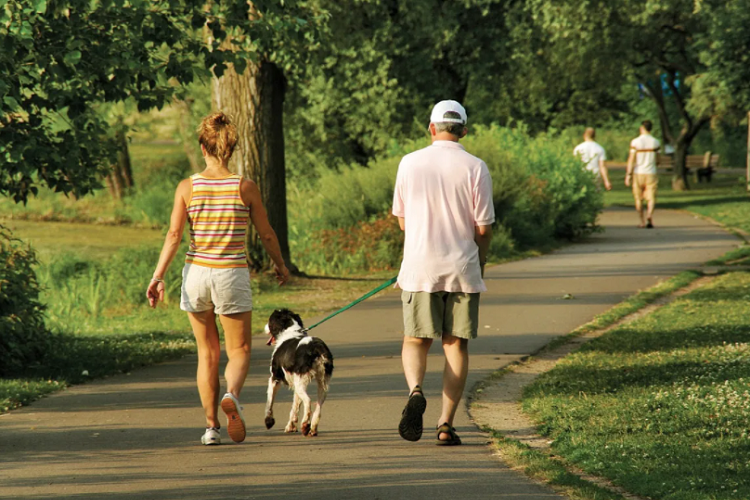 Other Walking Benefits