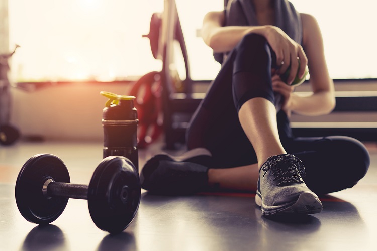 Workout equipment
