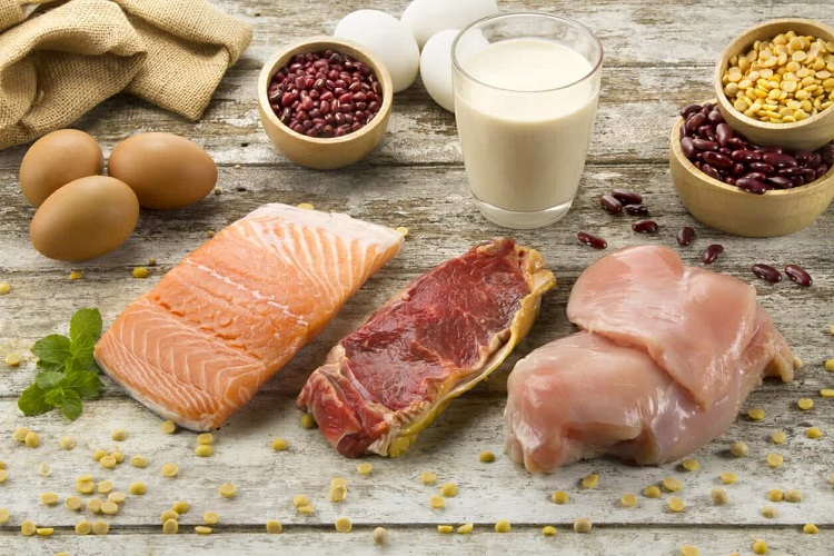 Benefits of Protein Intake for Women