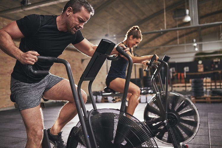 Workout plan notes