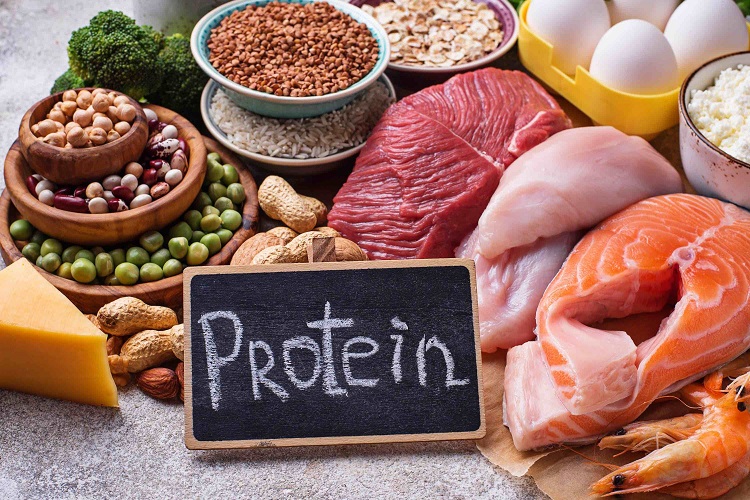 Protein-rich foods