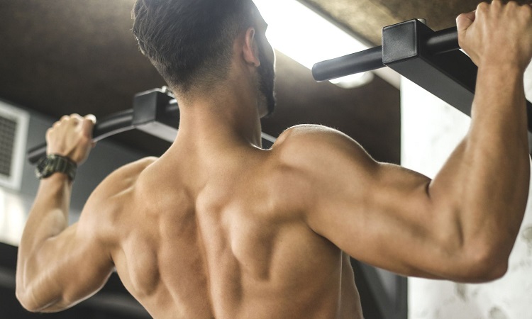 Why is it Important to Have Big and Strong Traps?