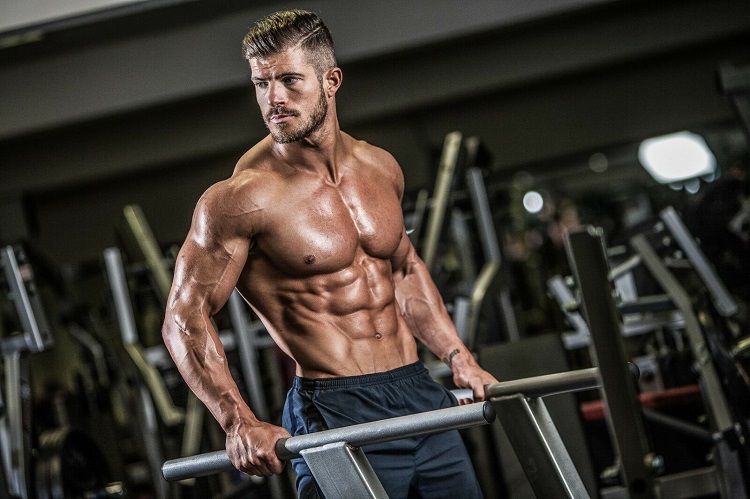 How Does Creatine Help Building Muscle?
