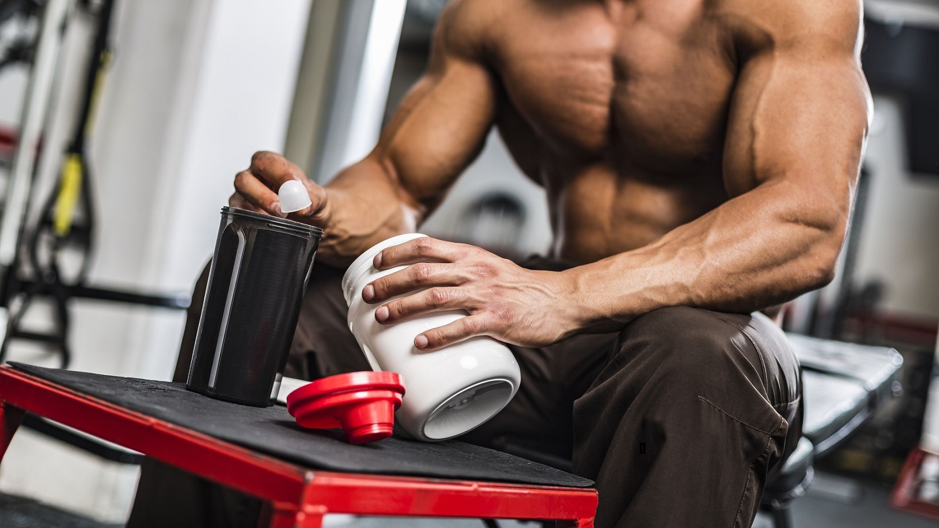 Creatine vs. No Creatine