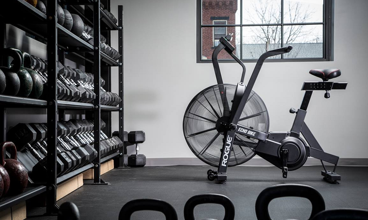 Echo bike