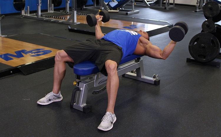 Dumbbell chest fly