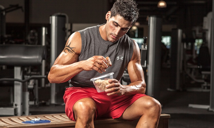 Science Behind Muscle Building