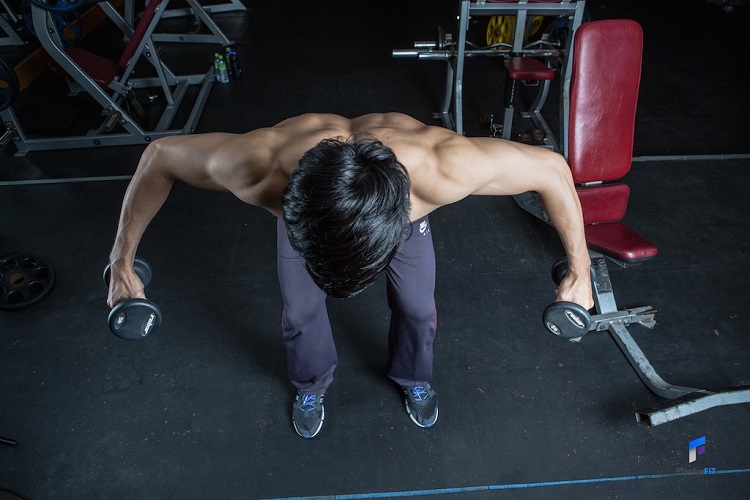 Reverse fly with dumbbells