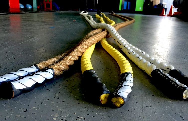 What Are Battle Ropes?